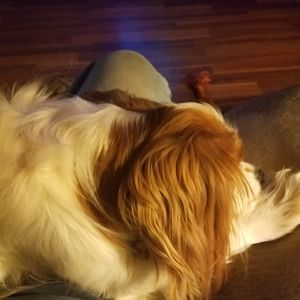 Meet your Posher, Doug